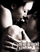 韩国美人 情色电影