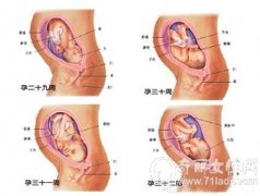 怀孕八个月胎儿图 怀孕八